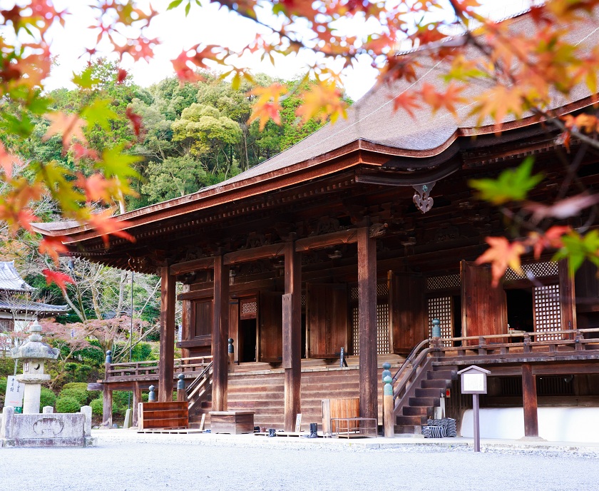 やや色づいた紅葉と三井寺金堂 写真
