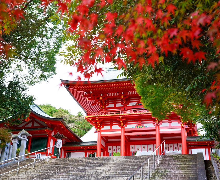 紅葉と近江神宮楼門