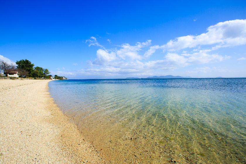 夏のびわ湖湖岸