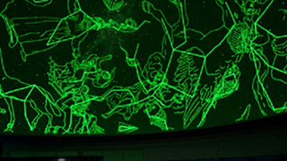 プラネタリウムで放映される映像の一部の写真