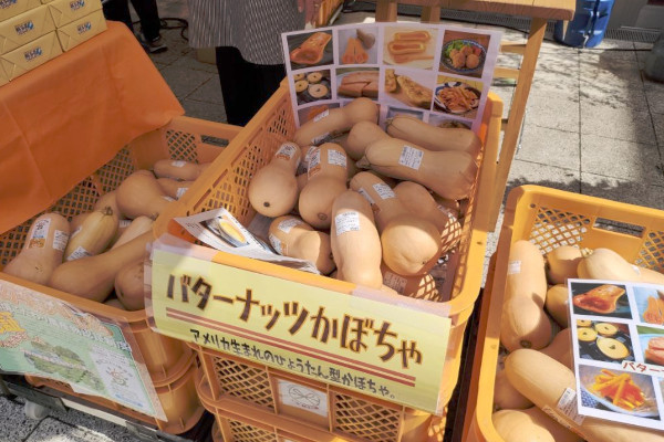 10周年特別販売の地域特産品のバターナッツかぼちゃ