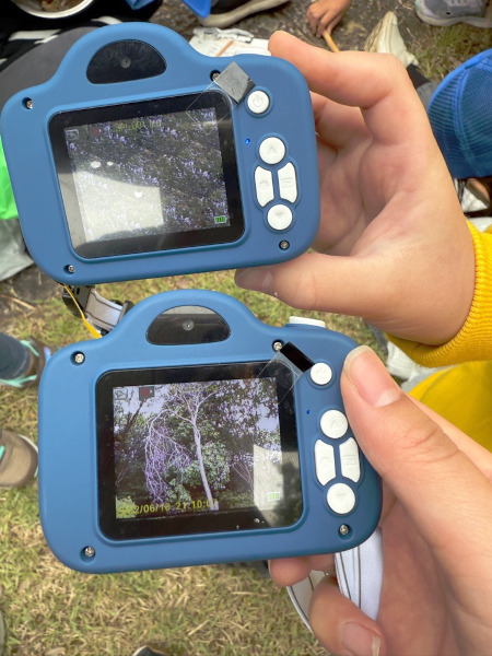 子どもたちが撮影した木々が写るカメラの様子