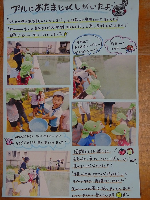 5歳児がオタマジャクシをとっている様子