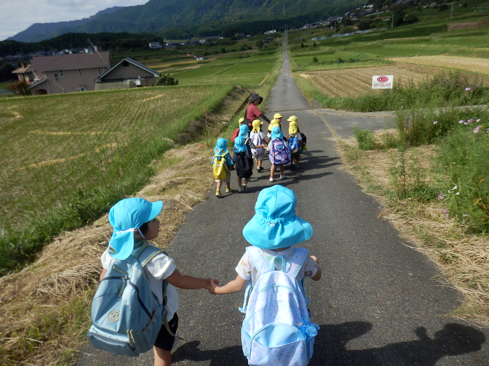 3,4歳児が手をつなぎ、近所田んぼまで歩いている