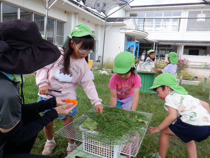 草花を網に乗せてバーベキューごっこをして遊んでいる子どもの様子