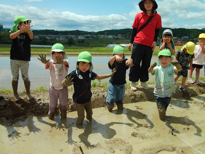 田植えをした泥んこの手を見せている5歳児5人