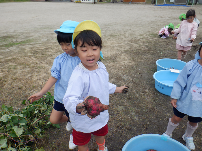 ハートの形のお芋をもっているこども