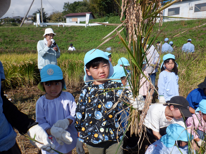 刈り取った稲を手にもって見せている子どもの様子