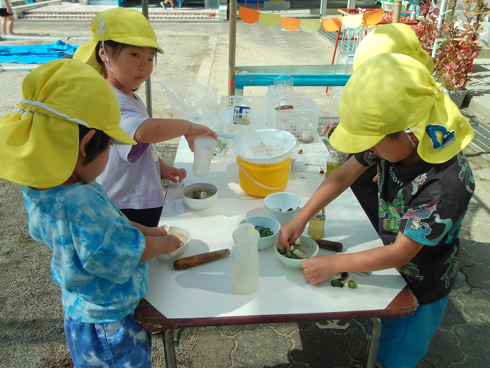 4歳児四人が草花を使って色水を作っている