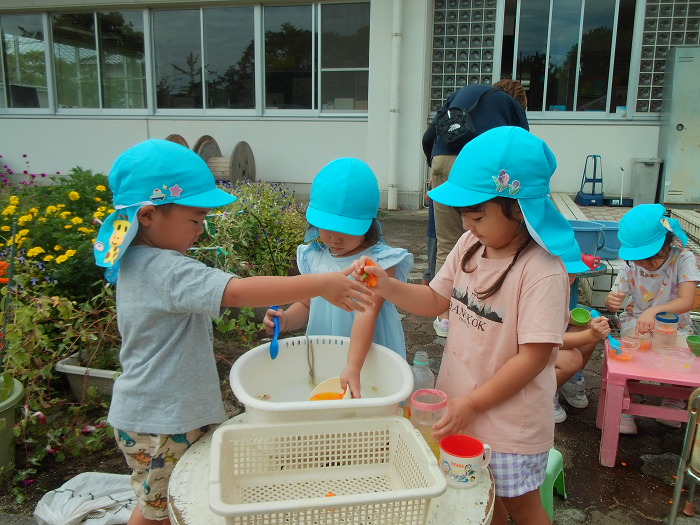 たらいの水をすくったり、花びらを入れたりしている3人の三歳児