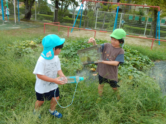 園庭で虫捕りをしている二人の園児