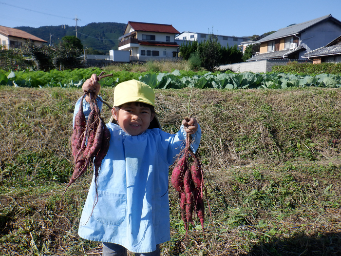 掘ったサツマイモを両手に持つ三歳児