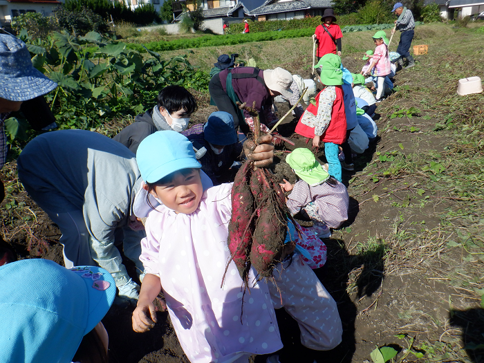 大きなサツマイモを手に持ち笑顔の5歳児