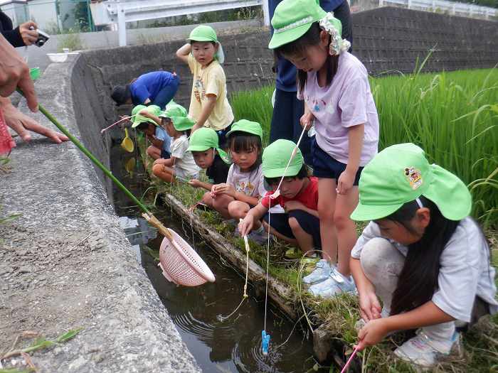 友達と一緒に田んぼのあぜでザリガニを釣ろうと釣り糸をたらしている5歳児