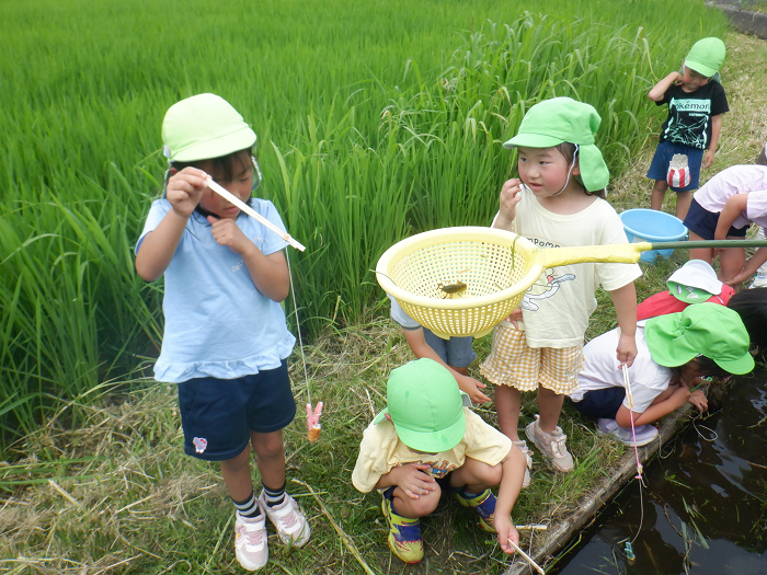 田んぼで、どうしたらザリガニが釣れるか、釣竿を見ながら考えている5歳児
