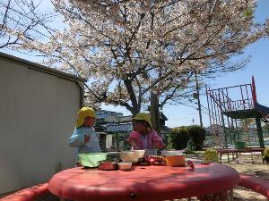 5歳児桜の下のままごと