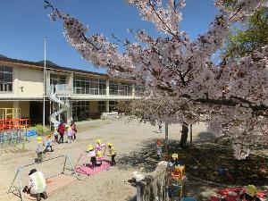 春の唐崎幼稚園