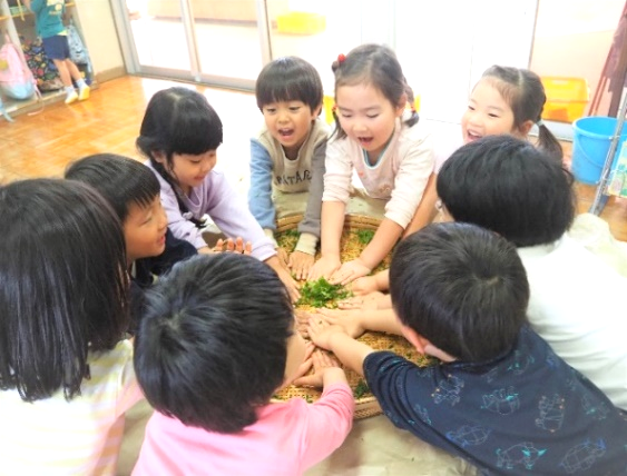 茶葉をもんでいるところ