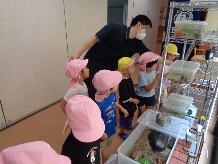 隣の福祉施設で生き物を見ている子どもの様子