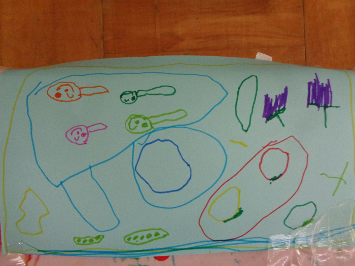 子どもが描いたメダカの絵