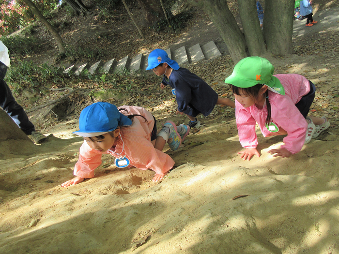 小学校のさくらの森へ出かけて様子