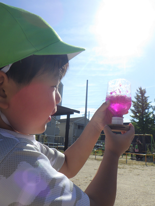 色水遊びをする4歳児