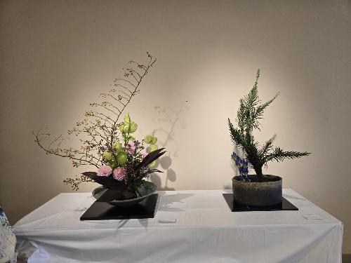 昨年度の生け花の展示の様子