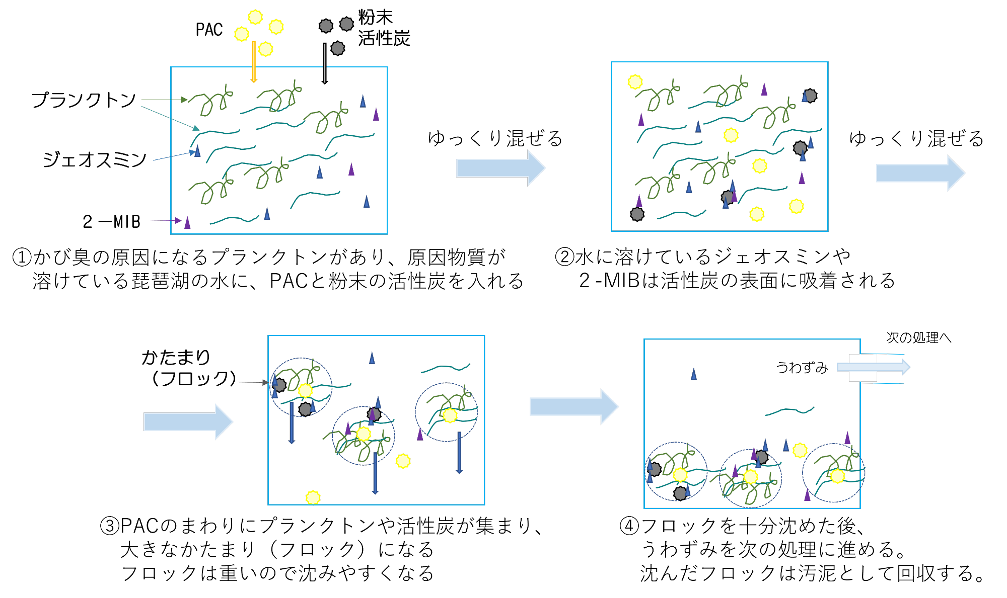 凝集沈殿のしくみ