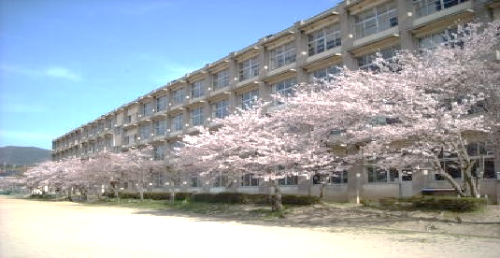 学校の全景