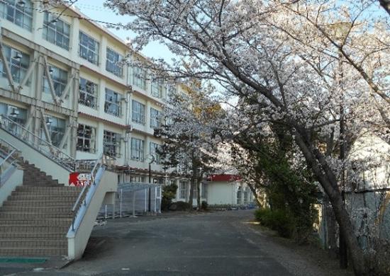 学校の全景