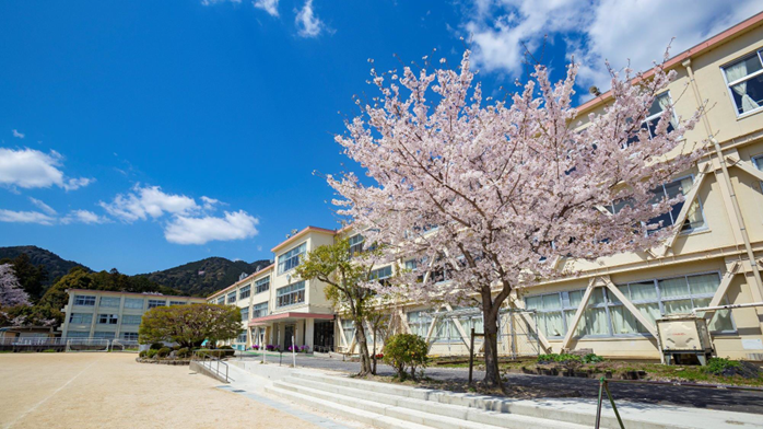 学校の全景