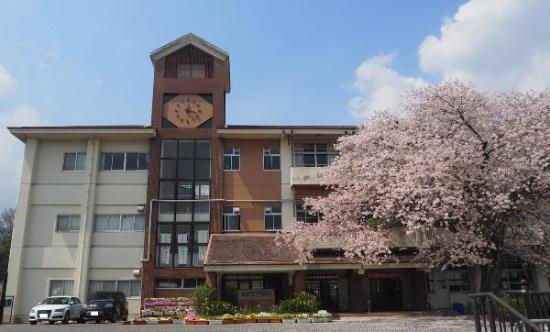 学校の全景