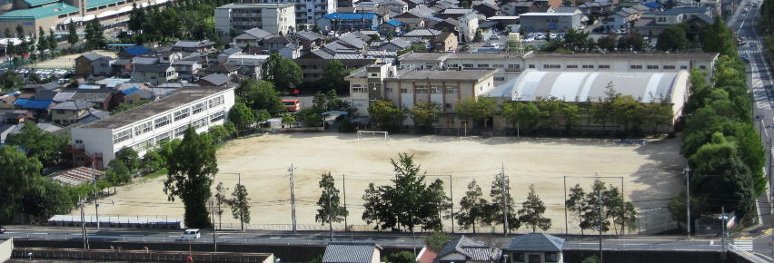 学校の全景