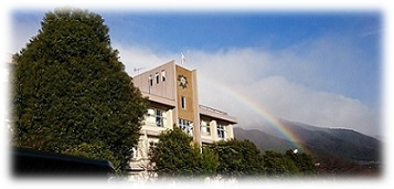 学校の全景