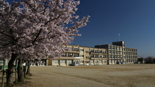 学校の全景