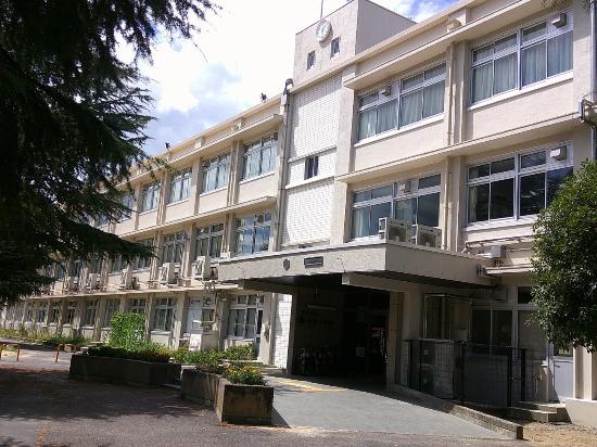 学校の全景