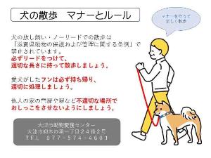 犬の散歩 マナーとルール