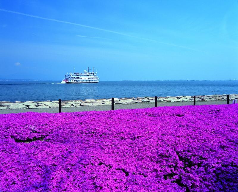 なぎさ公園周辺魅力向上に関する事業
