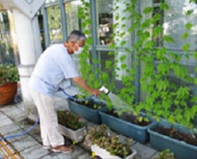 チャオ環境部会　生涯学習センターゴーヤのプランターに水やり