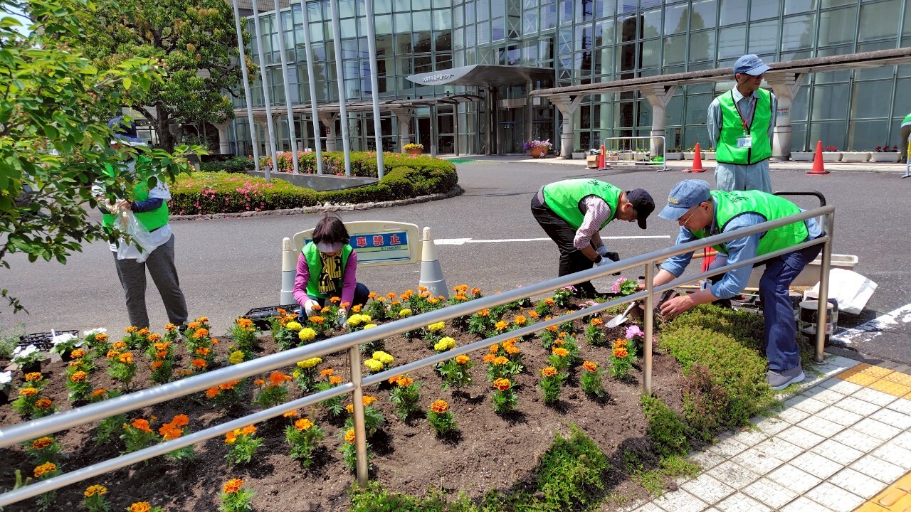 チャオ環境部会 花壇の植え替えの様子