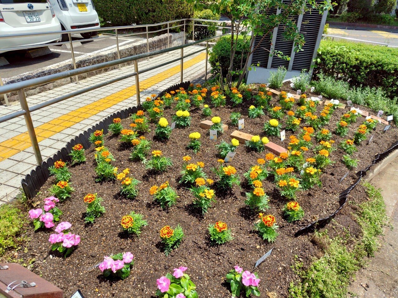 チャオ環境会 花壇の花の植え付けの様子