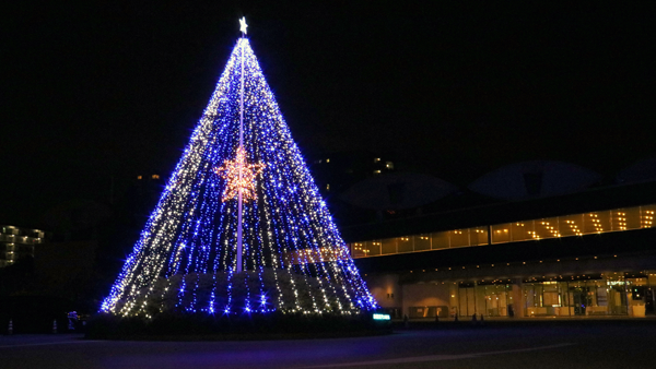 びわ湖大津プリンスホテルの玄関前に飾られた青色に光るツリーの様子