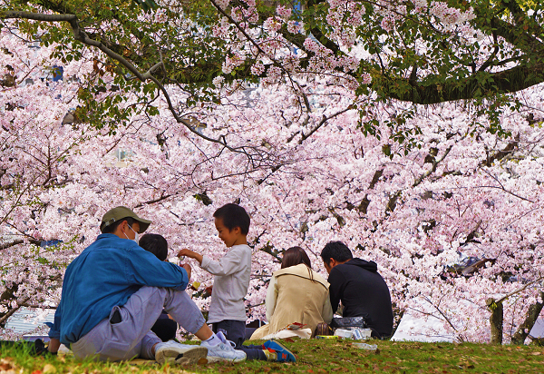 桜の木の下で談笑する親子の様子