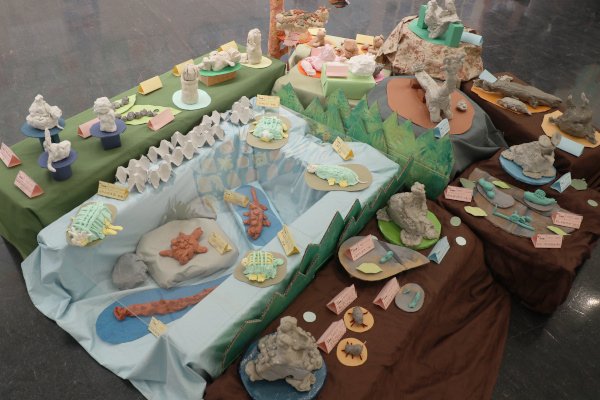 カメやかたつむりなど生きものの粘土作品