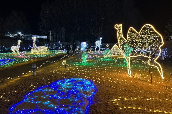 「砂漠」ゾーン、ラクダのオブジェの様子