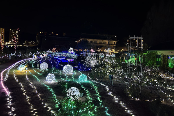 ウミガメやチンアナゴが並ぶ「海ゾーン」のイルミネーションの様子