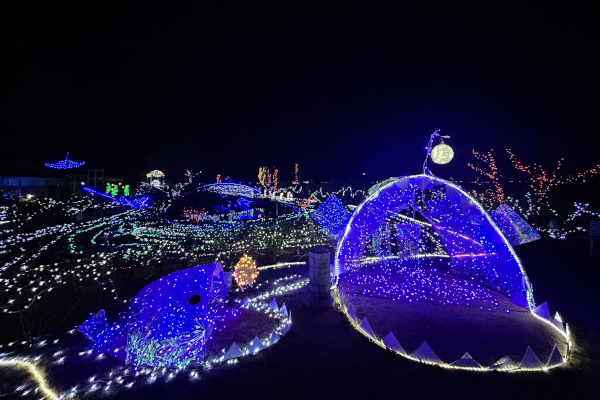 「海ゾーン」のチョウチンアンコウと奥に広がるイルミネーションの様子