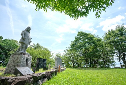 新緑の公園の様子
