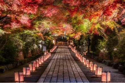 石山寺の参道