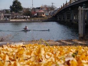 レースの様子